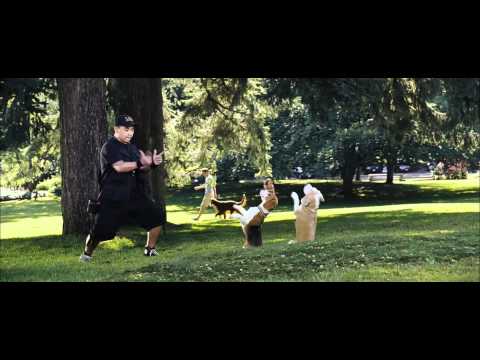 Marmaduke - pies na fali