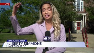Raccoons invade Northeast DC elementary school