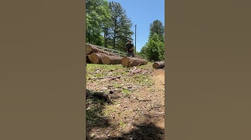 💪🪵🥵 using a cant hook. # sawmill #woodmizer #fun #workout