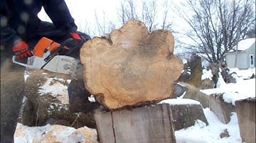 Stihl MS461 VS MS460 chainsaw