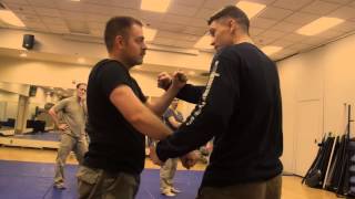 SYSTEMA (Система): Resisted Striking