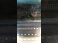типичное видео вам поможет взорвать 400 подписчиков получить 500 подписчиков