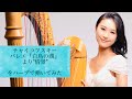 チャイコフスキー：「白鳥の湖」より"情景"