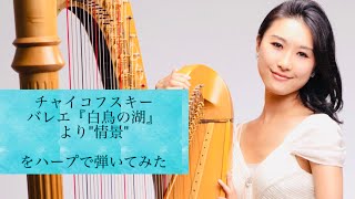 チャイコフスキー：「白鳥の湖」より"情景"