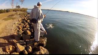 Bluefish action - Varalicar.com Fishing Team - HD