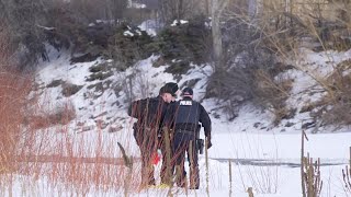 Search underway for Colorado woman missing in Missoula
