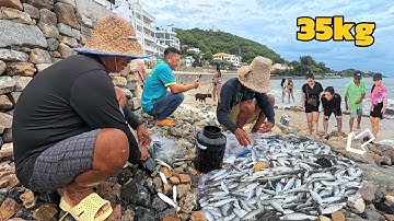 Chấn Động Trước Cảnh Tượng Chài Cá Bằng Kỹ Thuật Lướt Gió - Hàng Nghìn Con Cá Nằm Gọn Trong Lưới