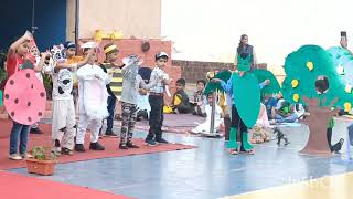 Culminating Event -Jungle Beats....Grade 1Noddy.