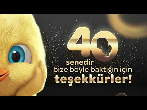Dalin şimdi 40