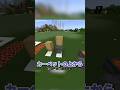 カーペットの秘密 #マイクラ