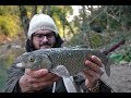 PESCA A BOLOGNESE - CAVEDANI D'INVERNO