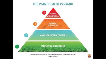 Plant Health Pyramid