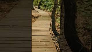 летняя прогулка#nature #ashyairan #zko #moment