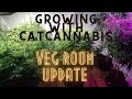 Growing with catcannabis  veg room update