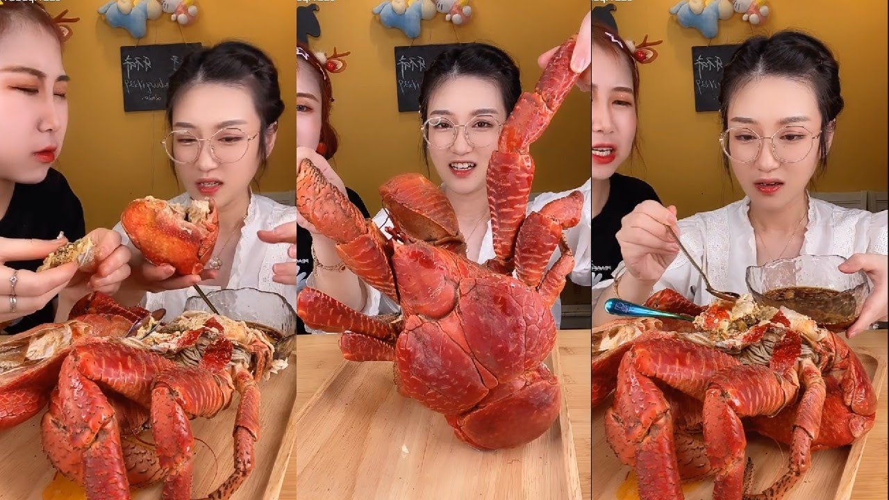 海鲜吃播【椰子蟹吃播】| SEA FOOD MUKBANG