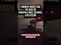 The Funniest Arrest Of All Time