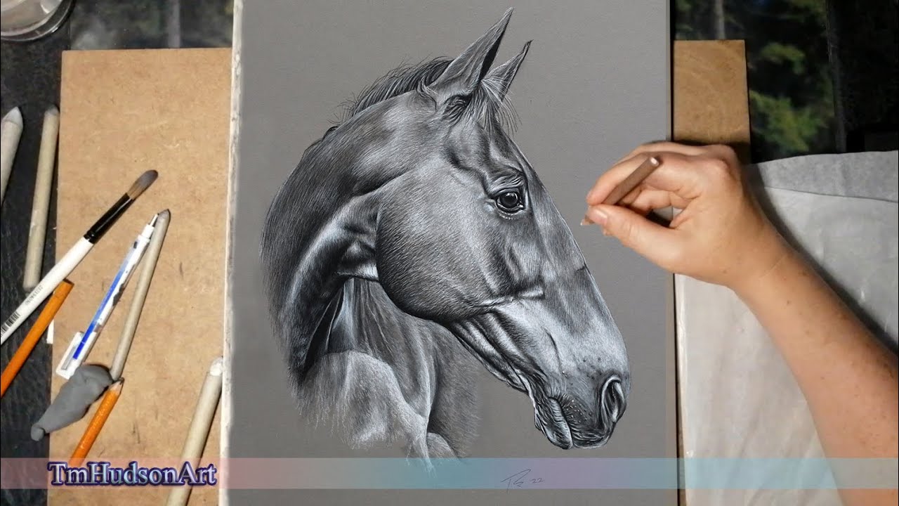 This beautiful mare 'Sugar' is now complete. I have enjoyed every single  minute of drawing this bea… | Horses, Equine art pencil drawings, Realistic  animal drawings