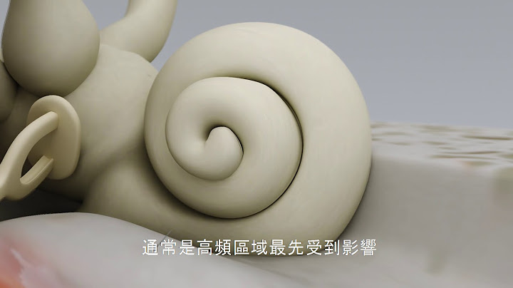 Signia 西嘉助听器 听损的形成 | Signia Hearing Aids - 天天要闻