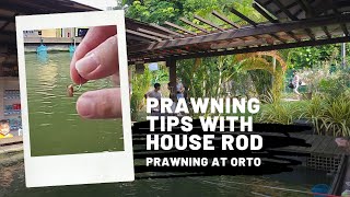 Singapore Prawning - Some tips for beginners using house rods 🦐