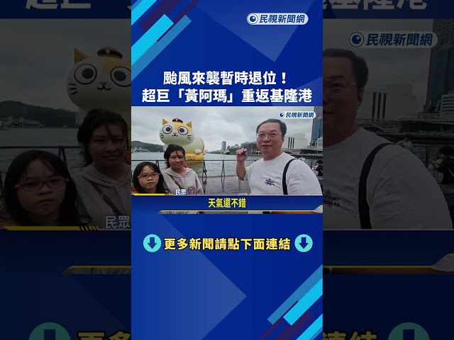 颱風遠離! 巨型大貓"黃阿瑪"歸位 重返基隆港水域－民視新聞