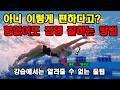 이 &quot;차이점&quot;만 알면 접영 실력 10년 빨라집니다. 수영 쉽게 하는 방법 몰아보기