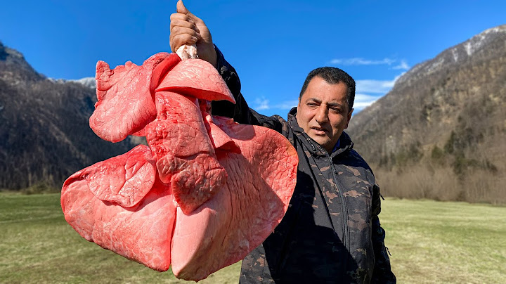 Rich Flavor from a ‘Poor Man’s Dish’! 🥩🔥 Beef Lungs Cooked in Milk!