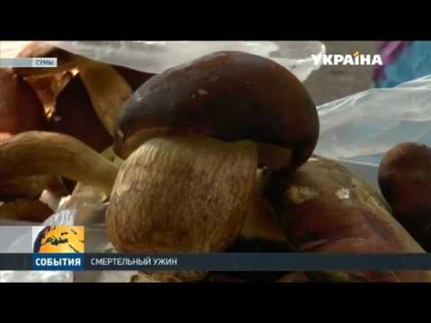 Семья из Сум в тяжёлом состоянии из-за отравления грибами