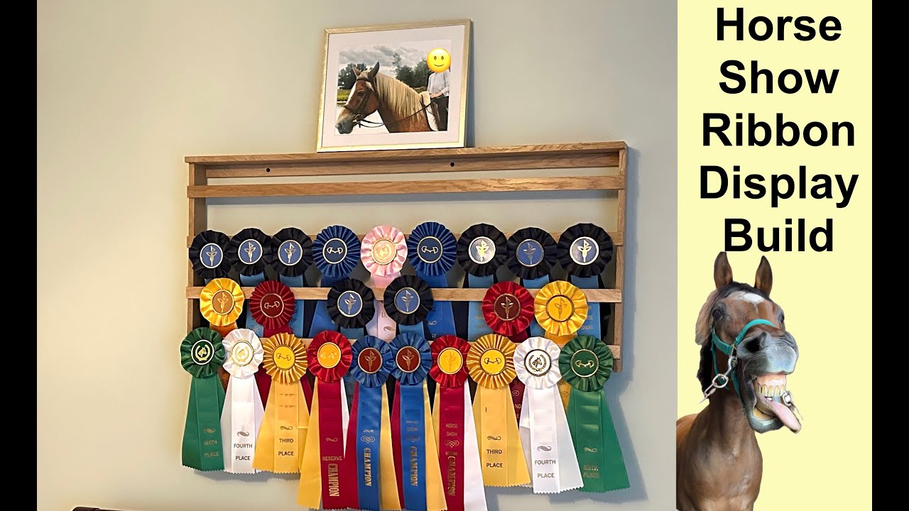 DIY - Horse Show Ribbon Display 🐴 🏆 - YouTube