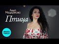 Аиша Мещерякова – Птица (Single, 2026)