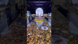 뮤지엄원 영상