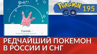 КОРСОЛА В РОССИИ И СНГ - ПОКЕМОН ГО