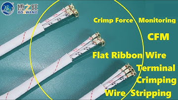 BZW-BD028 Multi-core flat ribbon wire stripping and crimping terminal machine with CFM