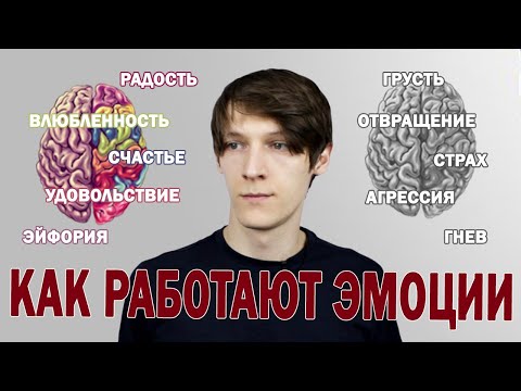 Почему важно контролировать свои эмоции?