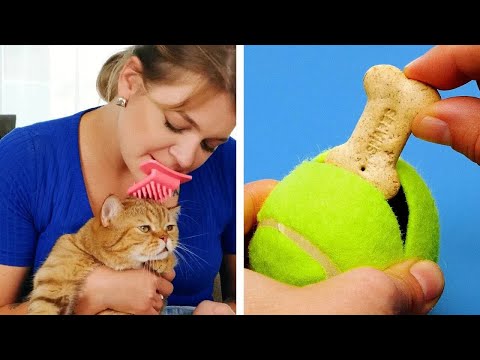 6 EASY CARE TIPS THAT WILL MAKE YOU A BETTER PET OWNER