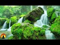 🔴 Relaxing Music 24/7, Stress Relief Music, Meditation Music, Sleep Music, Study Music, Spa, Yoga