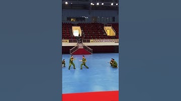 2. Đồng diễn, phân thế võ 52 động tác Mai Hoa Quyền phần thi của đội tuyển công an tỉnh Thanh Hoá🫡🇻🇳