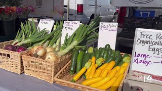 New SUN Bucks program aims to feed California families through the summer