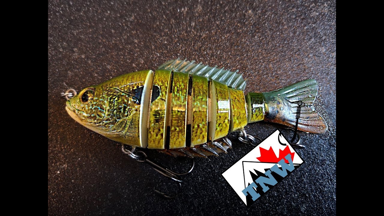 Sunfish, Jointed Lifelike Action from Lucky Strike - The Hookup 