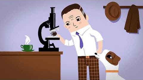 Who invented Velcro? || EVS || Class 5 || Seeds & Seeds || Animation || Learn With Logic