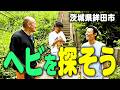 【捜索】野良のヘビって鉾田にまだいるの？【大自然】