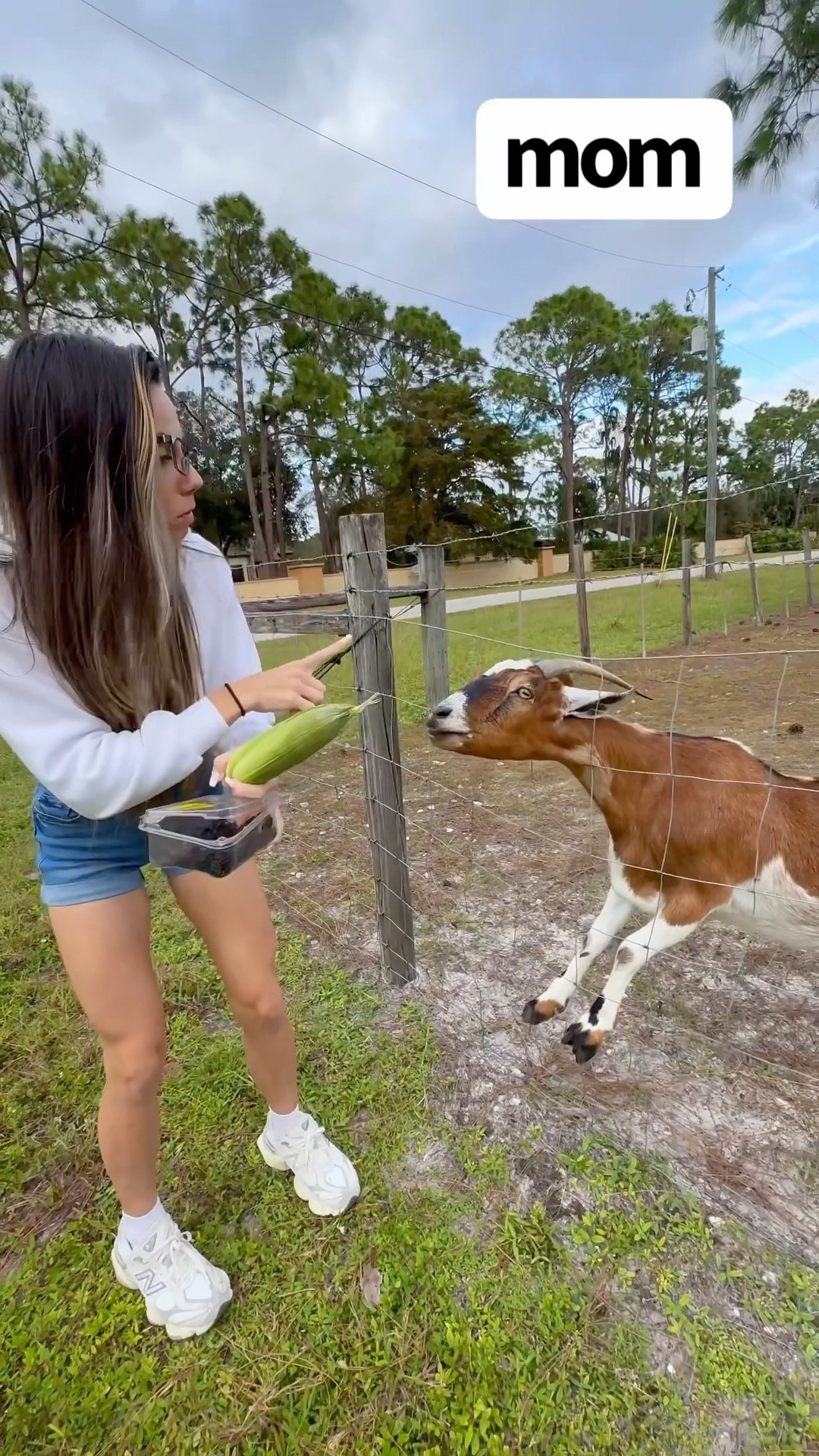 WHEN YOU FEED YOUR CANDY A PEICE OF GOAT