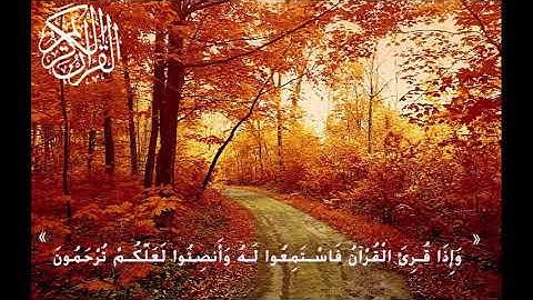 تلاوات خاشعة ومؤثره وجميلة تدمع لها العين - من عالم آخر " أجمل المقرئين"