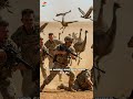 The Great Emu War. #emubird #history #zealnews #shorts