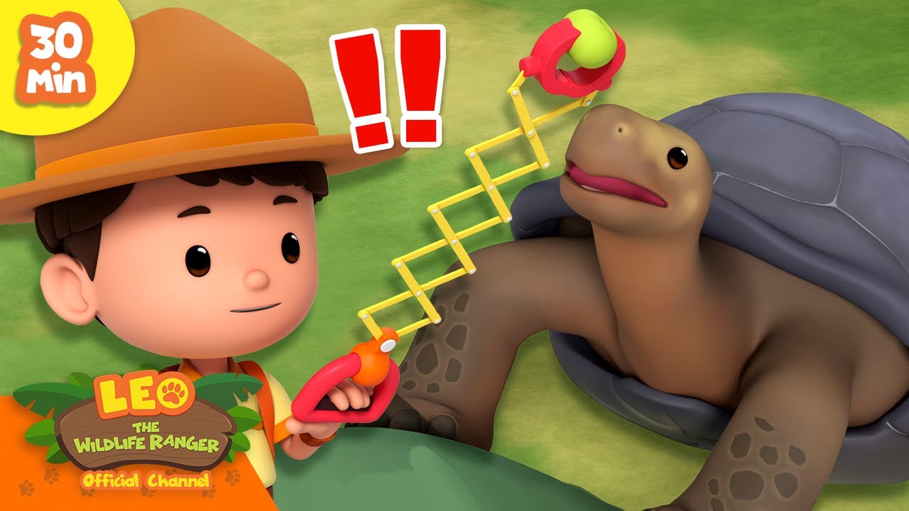 FETCH THE BALL, TORTOISE! 🐢 | Hardest Shells 🐚 | Leo the Wildlife ...