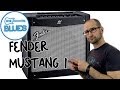 Fender Mustang 1 Guitar Amplifier Demo