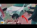 البحث عن صاحبي بعد ماضاع واختربت سيارته بالبر بمساعدة كلابنا 