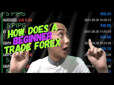 How does a Beginner trade Forex?