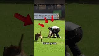 27 בדצמבר 2025