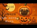 2025 1028USD/JPY, EUR/USD ,GBP/USD 環境認識