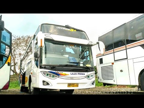 cinematic-bus-in-terminal-parung||lagu-dj-goyang-enak-sampe-bodoh